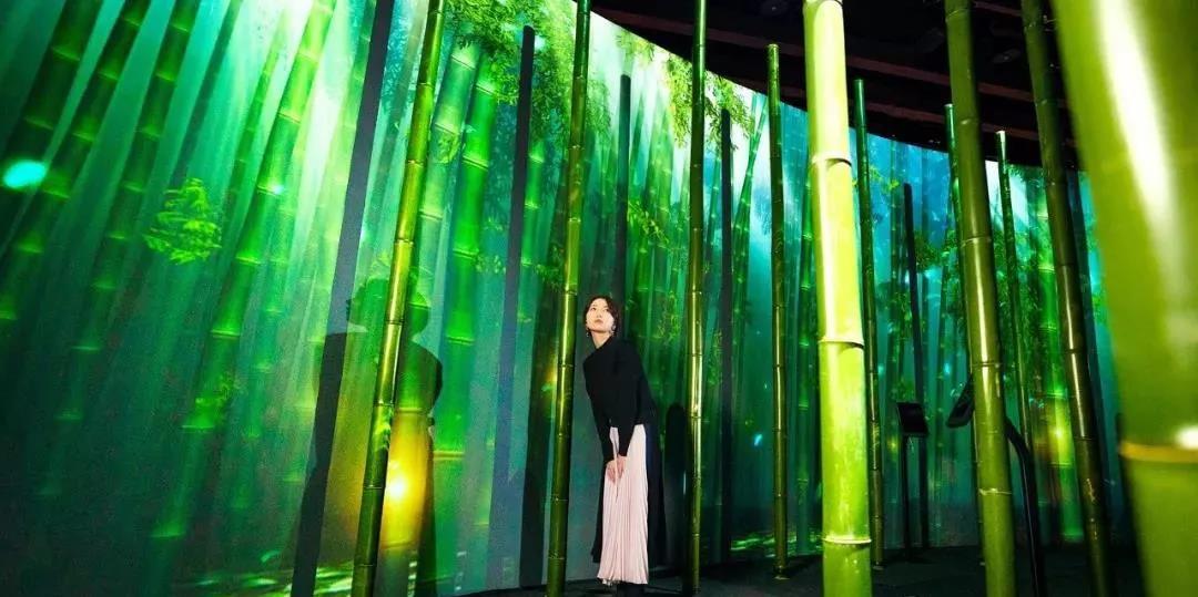 沉浸式的櫻花展覽策劃驚艷了廣大游客的目光，光影互動太厲害了！