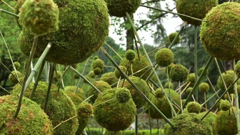 這般藝術(shù)花藝展覽活動滿滿春天的味道，輕快和活力無極限 - 第106張