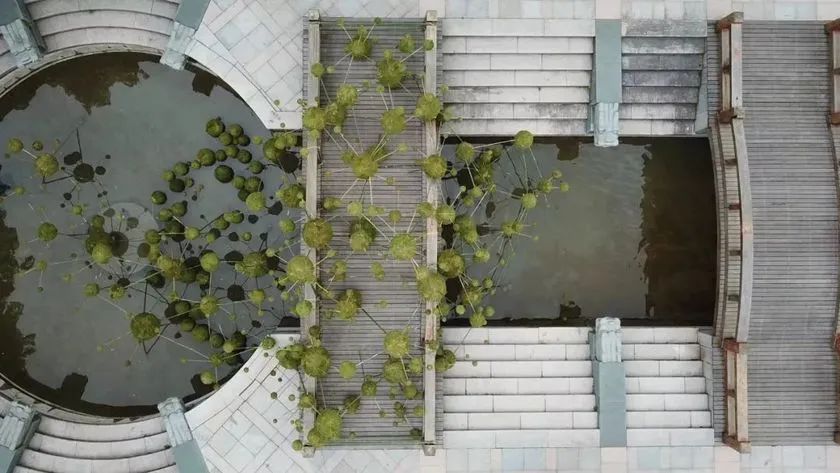 這般藝術(shù)花藝展覽活動滿滿春天的味道，輕快和活力無極限 - 第105張