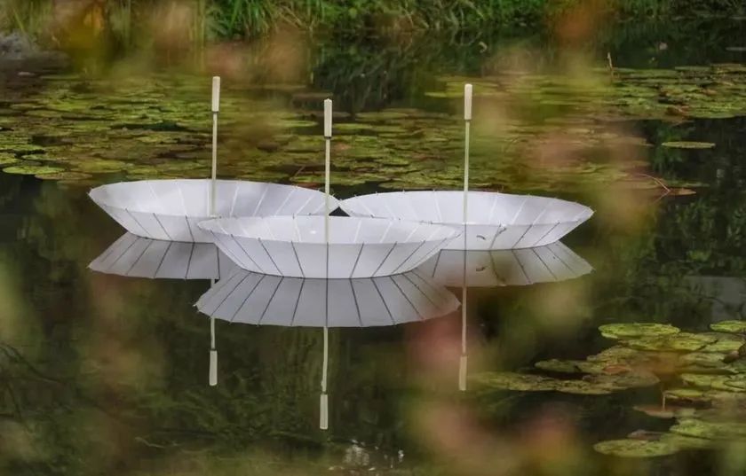 這般藝術(shù)花藝展覽活動滿滿春天的味道，輕快和活力無極限 - 第98張