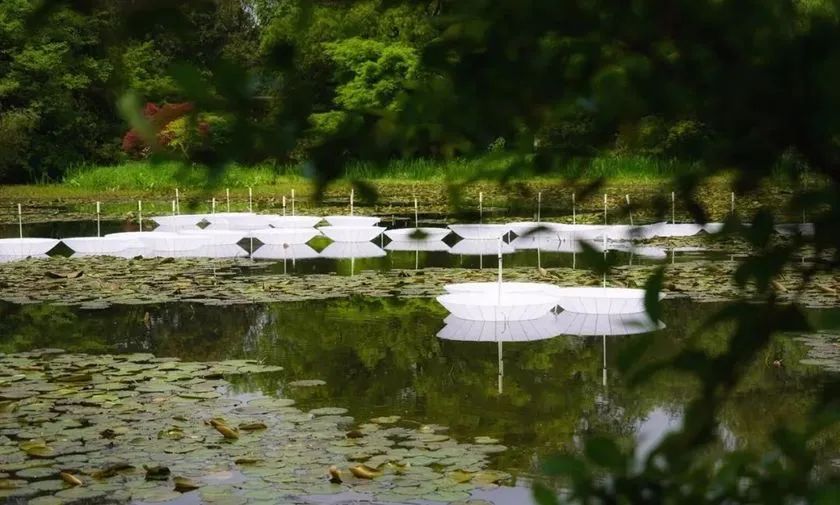 這般藝術(shù)花藝展覽活動滿滿春天的味道，輕快和活力無極限 - 第96張