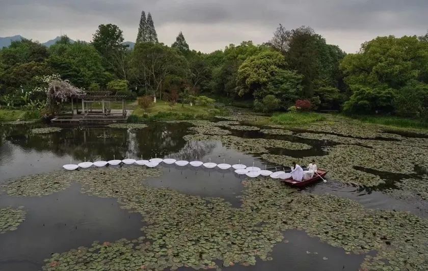 這般藝術(shù)花藝展覽活動滿滿春天的味道，輕快和活力無極限 - 第94張