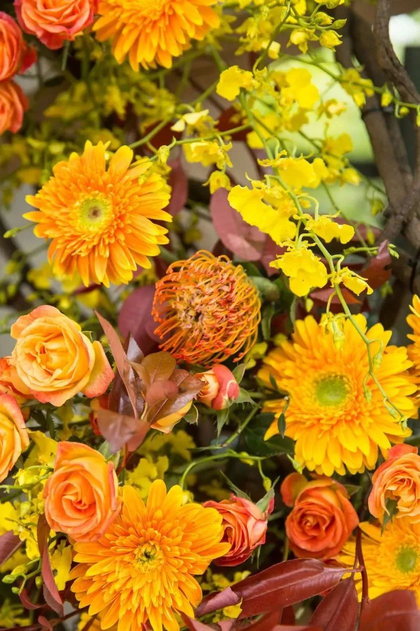 這般藝術(shù)花藝展覽活動滿滿春天的味道，輕快和活力無極限 - 第82張