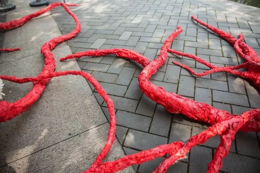 這般藝術(shù)花藝展覽活動滿滿春天的味道，輕快和活力無極限 - 第77張