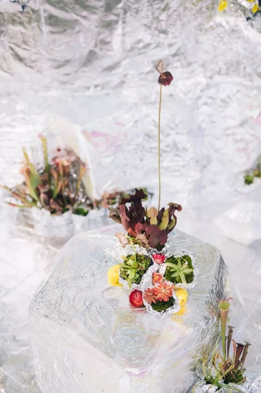 這般藝術(shù)花藝展覽活動滿滿春天的味道，輕快和活力無極限 - 第72張