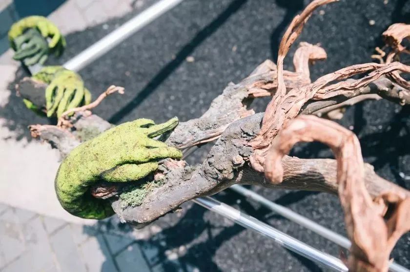 這般藝術(shù)花藝展覽活動滿滿春天的味道，輕快和活力無極限 - 第62張