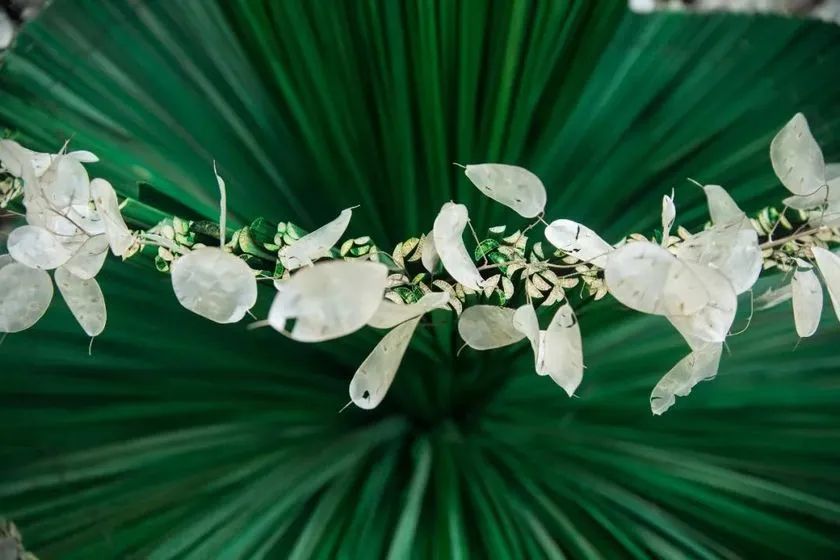 這般藝術(shù)花藝展覽活動滿滿春天的味道，輕快和活力無極限 - 第57張