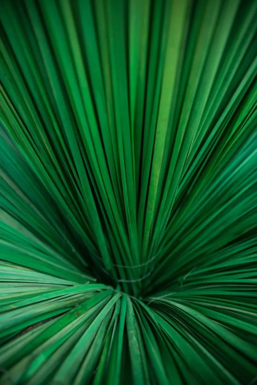 這般藝術(shù)花藝展覽活動滿滿春天的味道，輕快和活力無極限 - 第55張