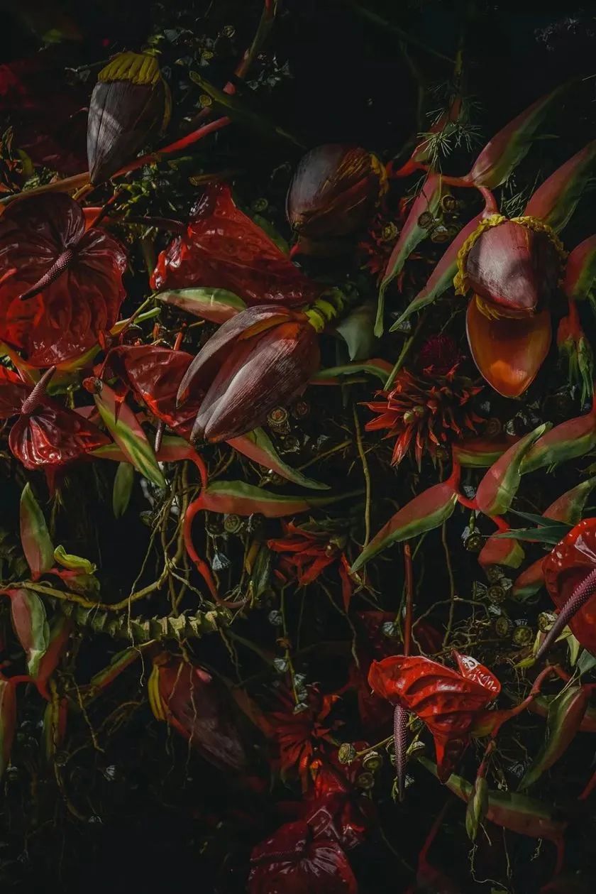 這般藝術(shù)花藝展覽活動滿滿春天的味道，輕快和活力無極限 - 第42張