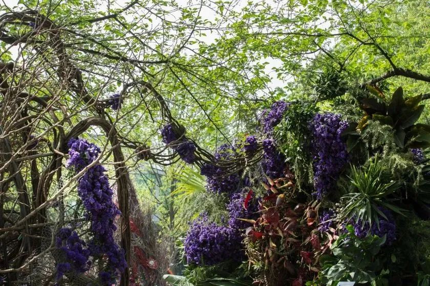 這般藝術(shù)花藝展覽活動滿滿春天的味道，輕快和活力無極限 - 第41張