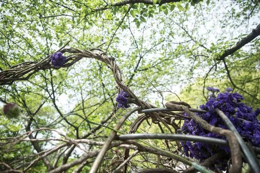 這般藝術(shù)花藝展覽活動滿滿春天的味道，輕快和活力無極限 - 第40張