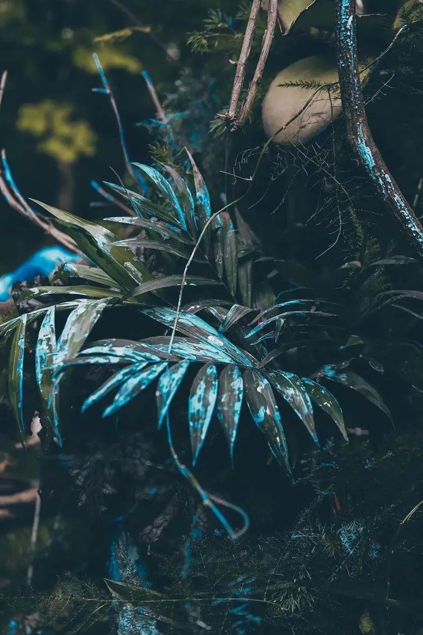 這般藝術(shù)花藝展覽活動滿滿春天的味道，輕快和活力無極限 - 第37張