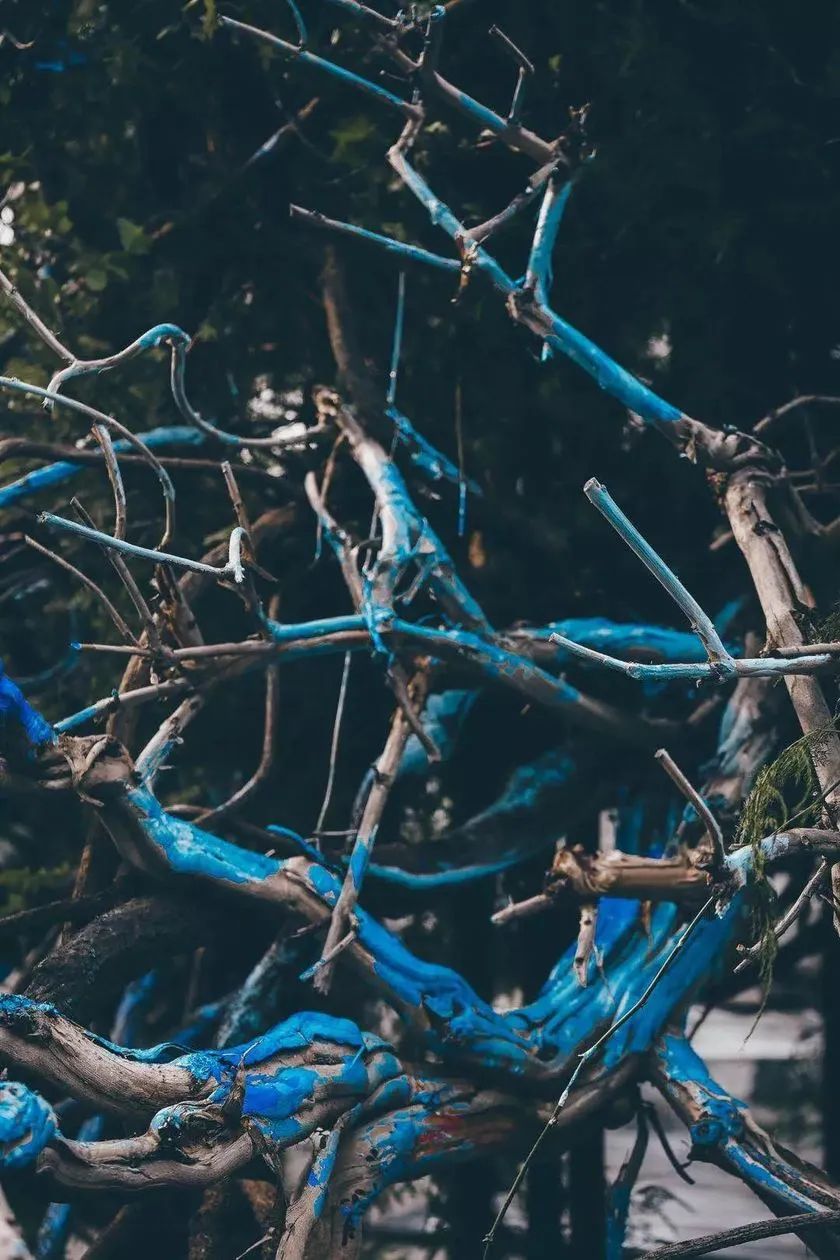 這般藝術(shù)花藝展覽活動滿滿春天的味道，輕快和活力無極限 - 第36張