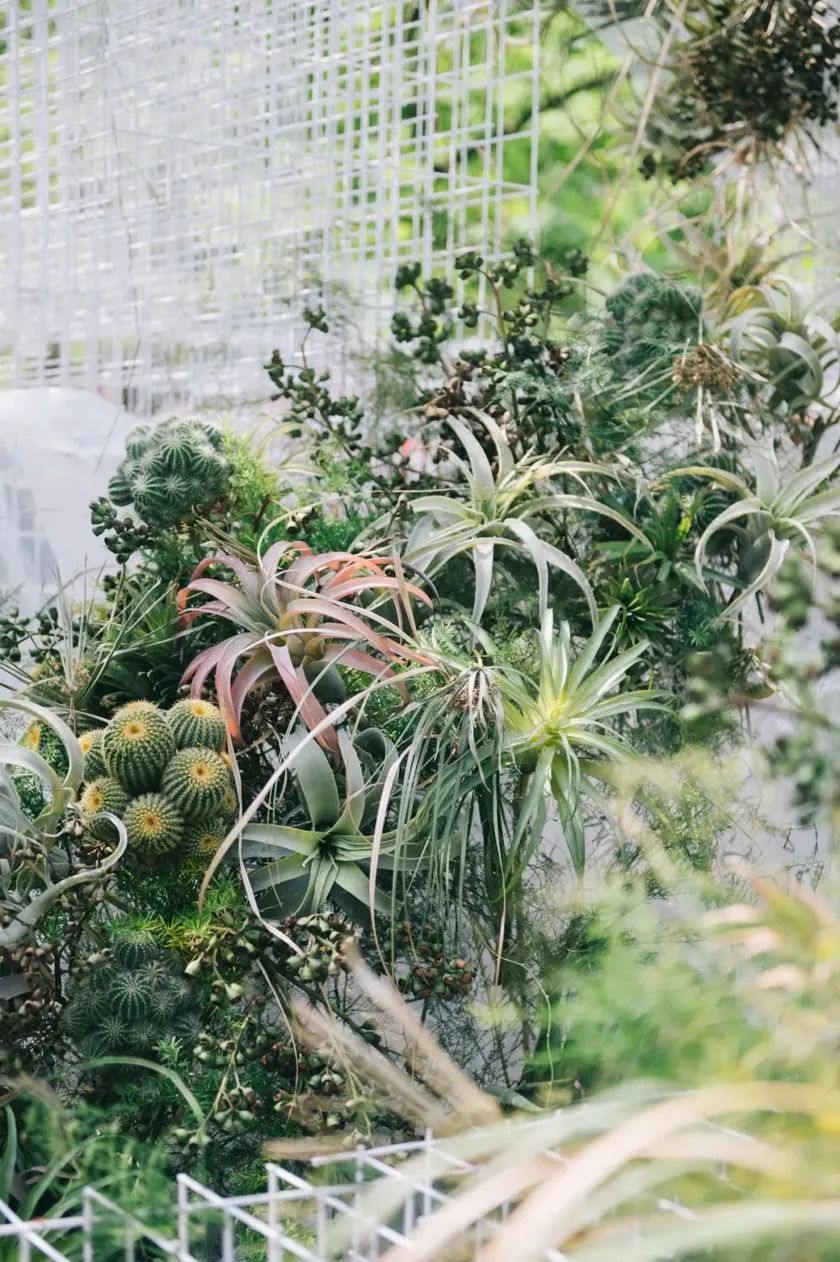 這般藝術(shù)花藝展覽活動滿滿春天的味道，輕快和活力無極限 - 第32張