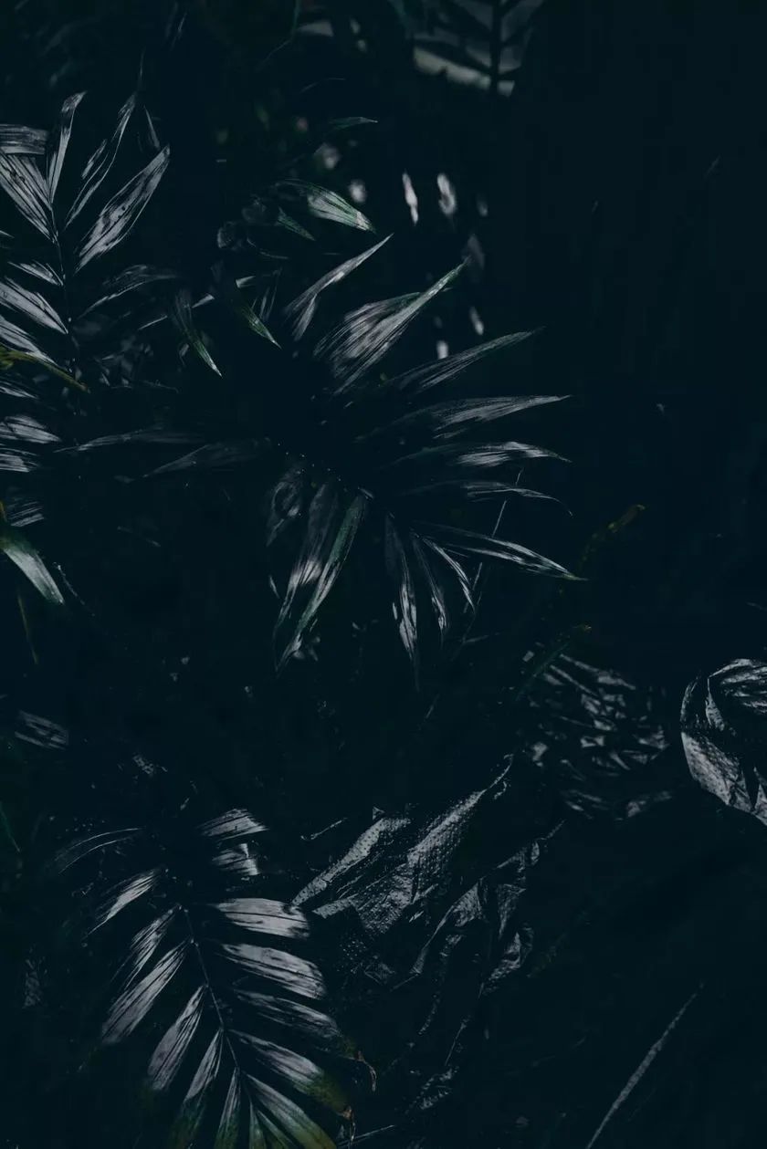 這般藝術(shù)花藝展覽活動滿滿春天的味道，輕快和活力無極限 - 第27張