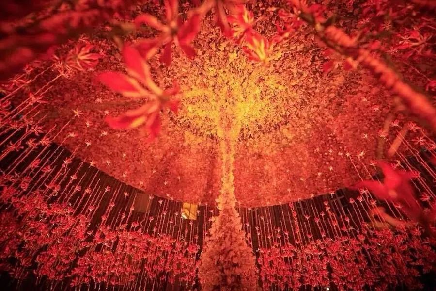 這般藝術(shù)花藝展覽活動滿滿春天的味道，輕快和活力無極限 - 第1張