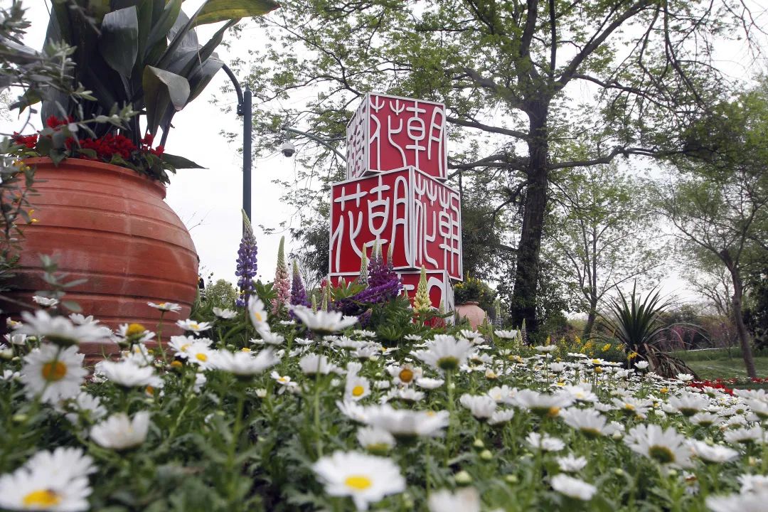 亂花漸欲迷人眼，全新西溪花朝節(jié)展覽活動(dòng)與你來(lái)一場(chǎng)春天的約會(huì)