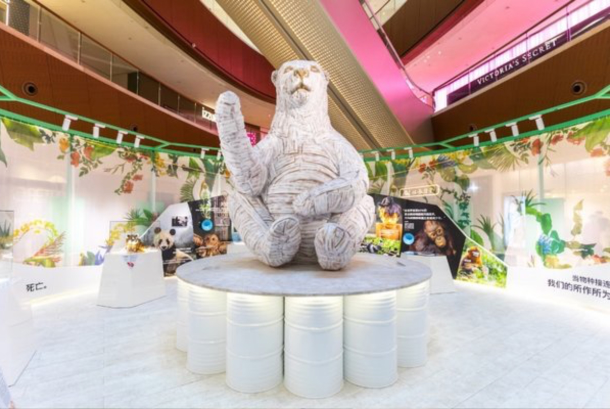 “與你為鄰 自然共生”動物保護(hù)展覽活動策劃的環(huán)保教育之旅別具意義