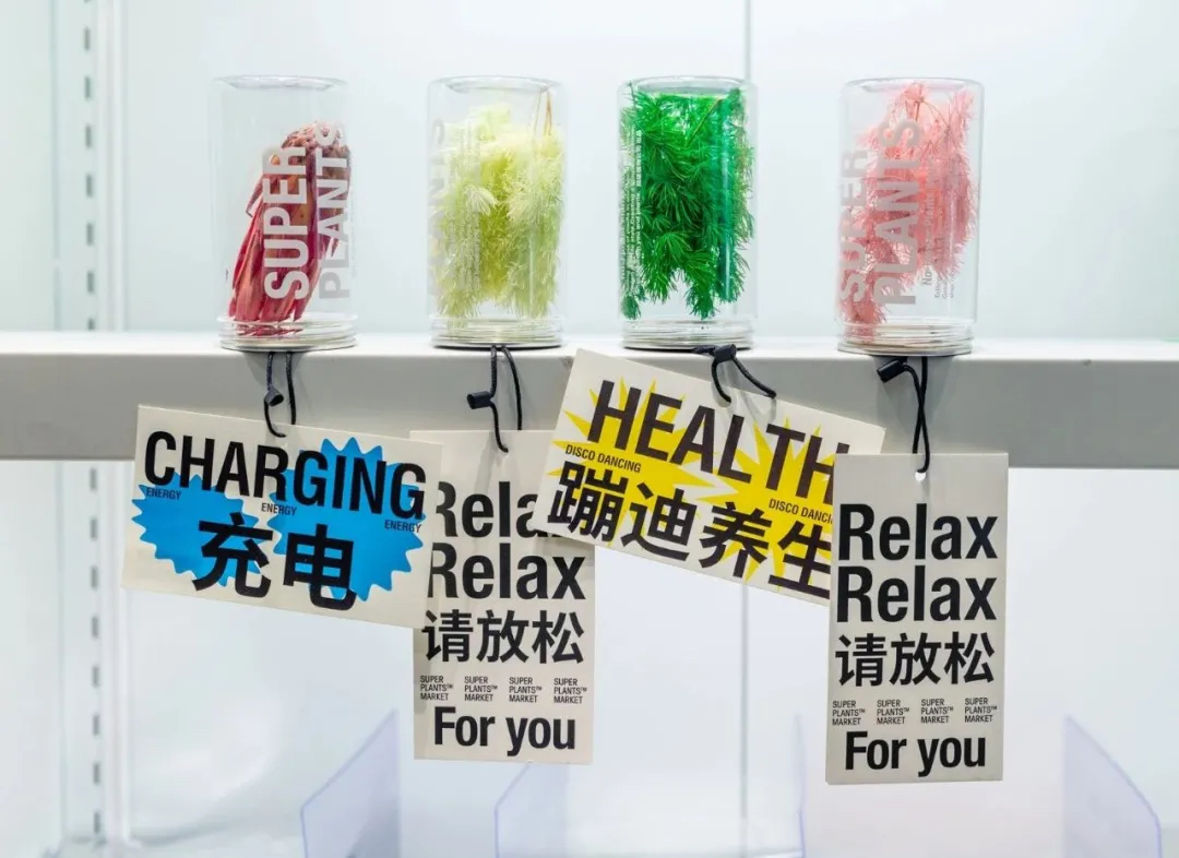 據(jù)說這次的“青松便利店”活動(dòng)策劃能為生活靈感補(bǔ)充能量