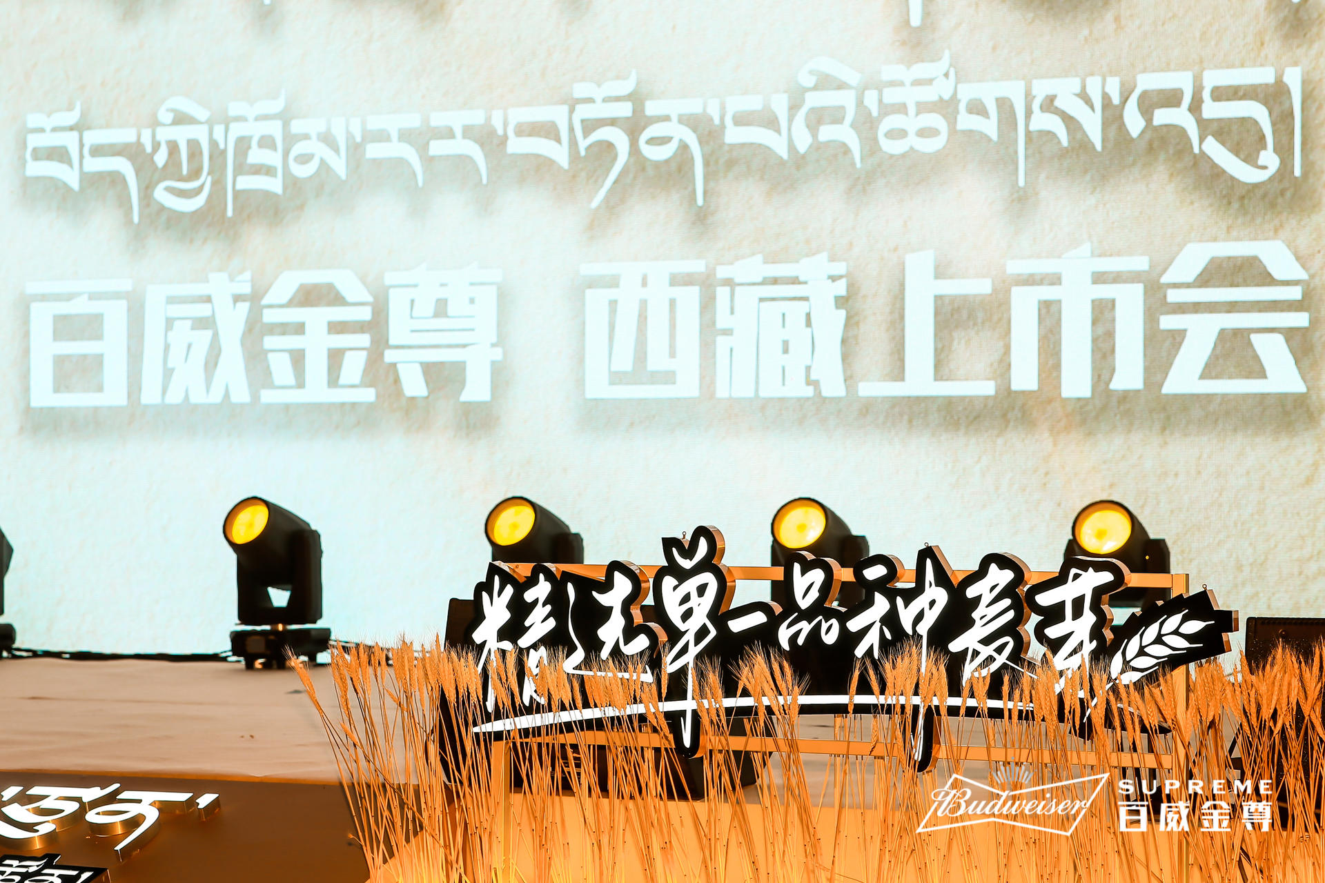 百威金尊西藏上市發(fā)布會(huì)活動(dòng)策劃用心定制，現(xiàn)場(chǎng)麥芽裝飾盡享豐收