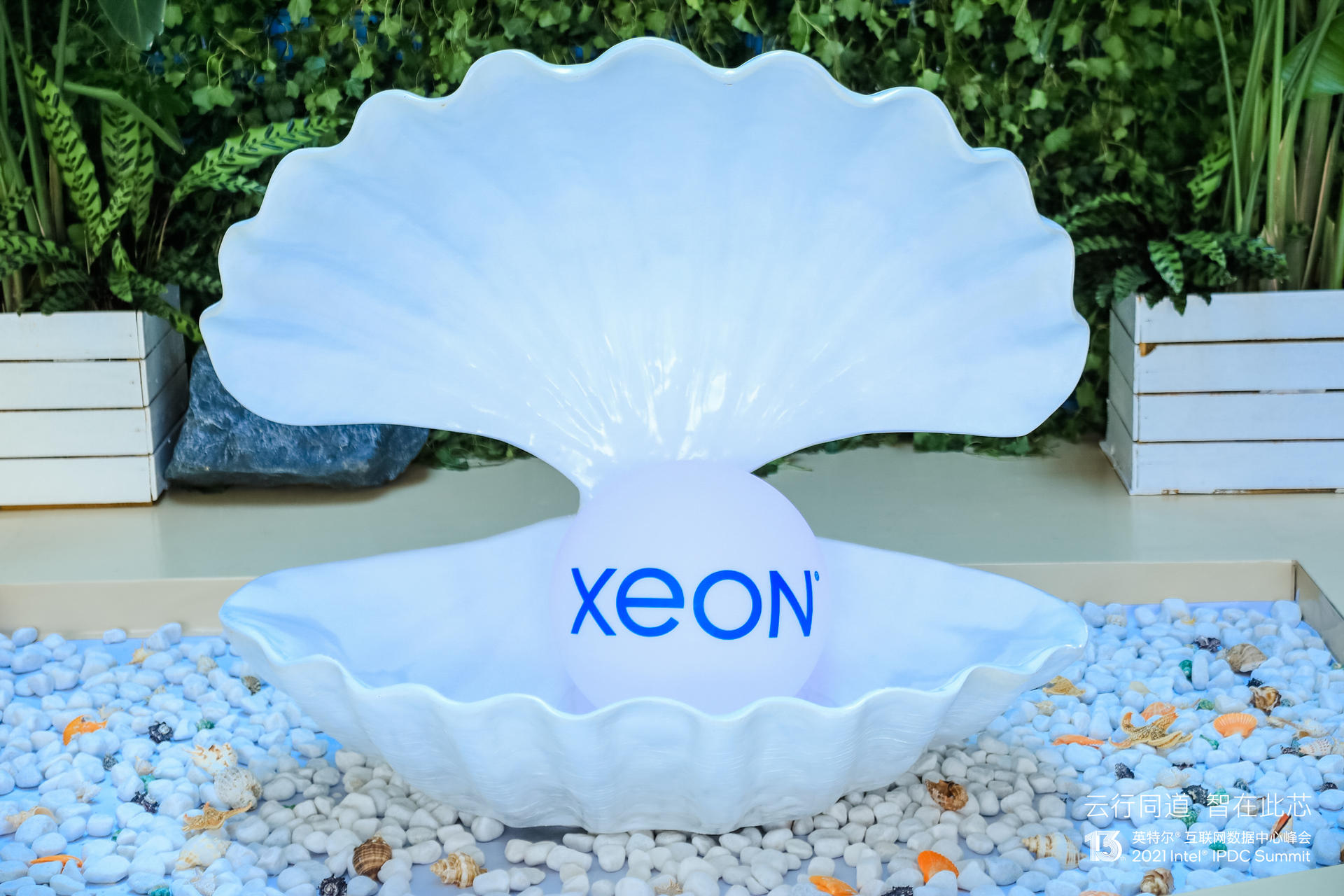 英特爾互聯(lián)網(wǎng)數(shù)據(jù)中心峰會活動策劃解鎖 “芯” 憧憬，織就新 “云” 圖