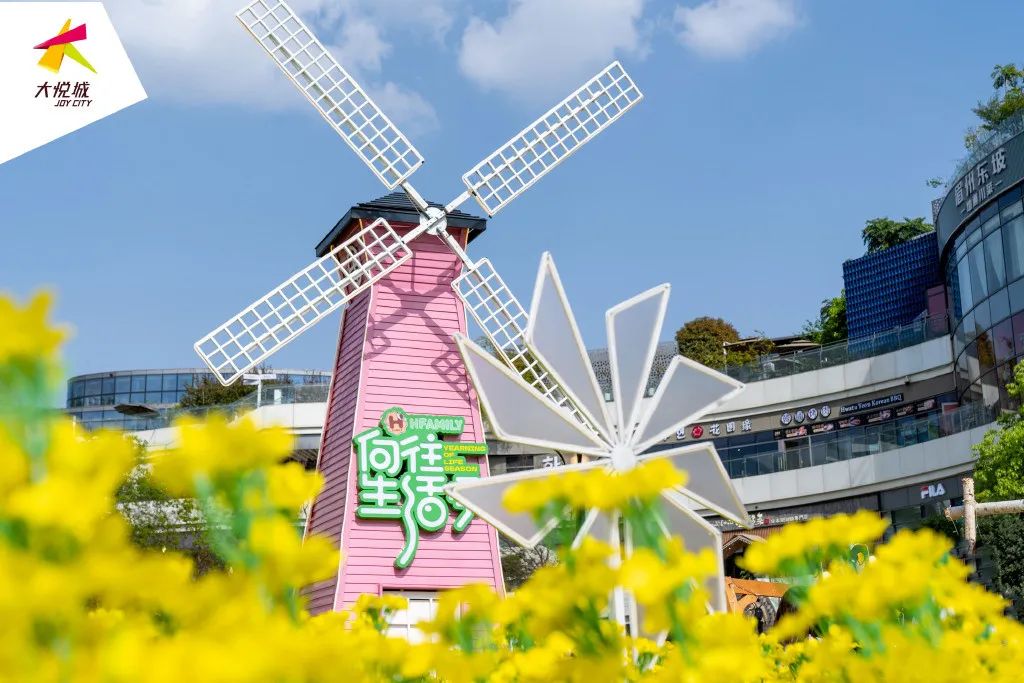 向往生活季·HFAMILY全國首展活動策劃太治愈了，超萬株油菜花好治愈 - 第4張