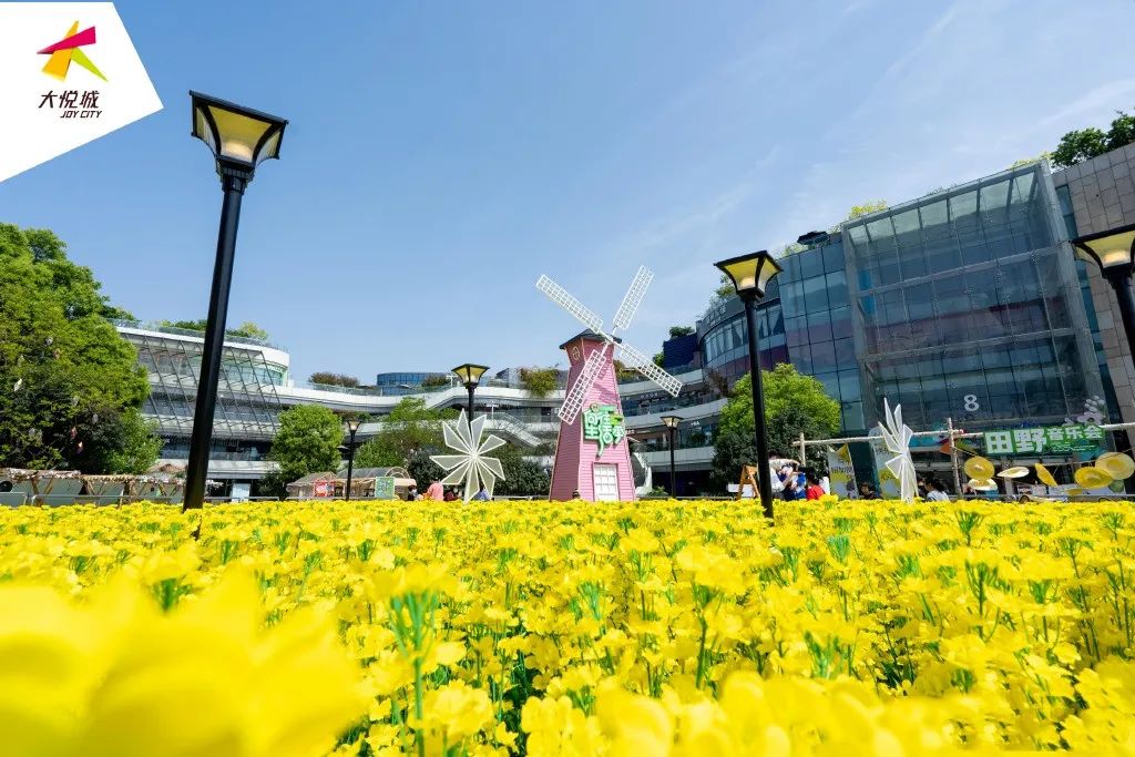 向往生活季·HFAMILY全國首展活動策劃太治愈了，超萬株油菜花好治愈 - 第1張