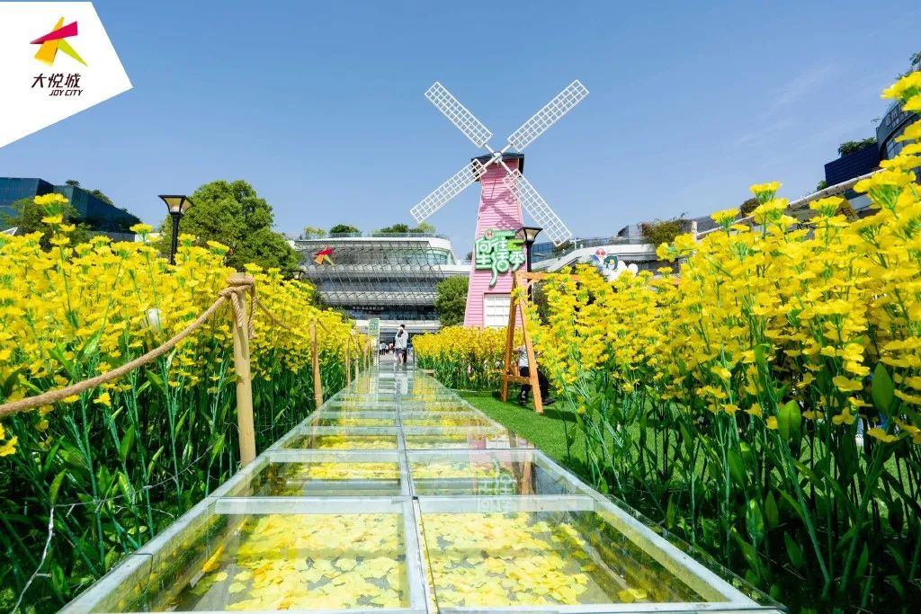 向往生活季·HFAMILY全國首展活動策劃太治愈了，超萬株油菜花好治愈 - 第6張