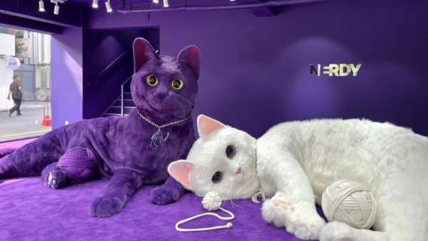 Nerdy首爾巨喵快閃店活動(dòng)策劃瞬間點(diǎn)燃你的少女心