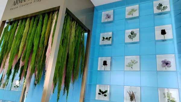 阿瑪尼「巖蘭綠洲」快閃店活動(dòng)策劃邀您循香入境，回歸純粹內(nèi)心