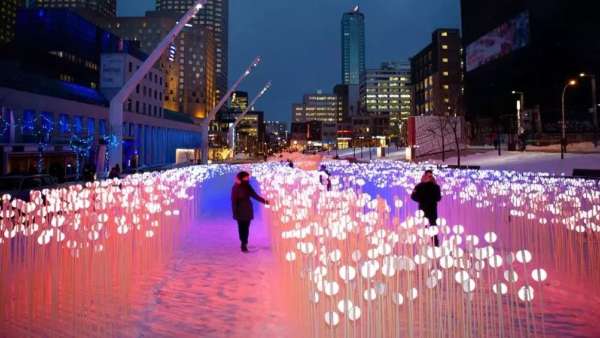 28000個白色水晶莖的燈光秀展覽活動，反思人類與自然環(huán)境的關(guān)系