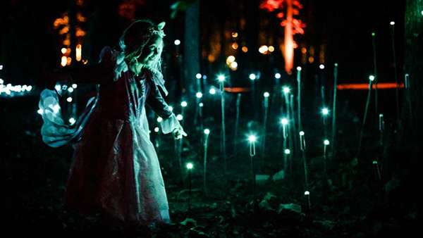 燈光秀藝術(shù)展覽活動領(lǐng)我們冬天在沉浸式森林一起漫步，走起！