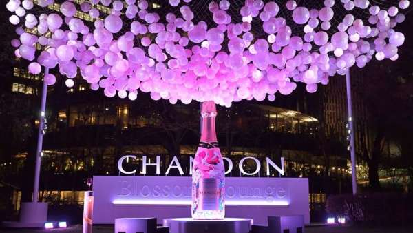 如此觀賞性極強的氣泡櫻花展覽活動，不走步一波太對不住它的美