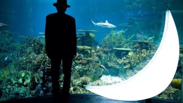 中秋節(jié)的展覽活動藝術(shù)裝置創(chuàng)意看這里，中秋節(jié)你就是這條街最靚的“仔”