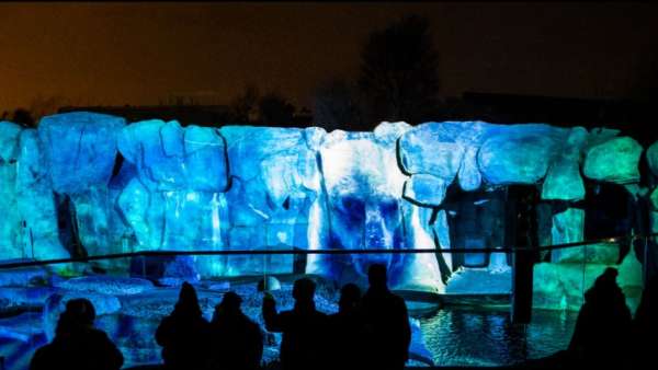 改變城市夜生活的燈光藝術展覽活動邀你來動物園欣賞不一樣的夜景