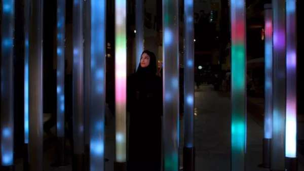 百鳥匯集的沉浸式展覽活動(dòng)讓人耳目一新，大自然的鳥舍原來如此