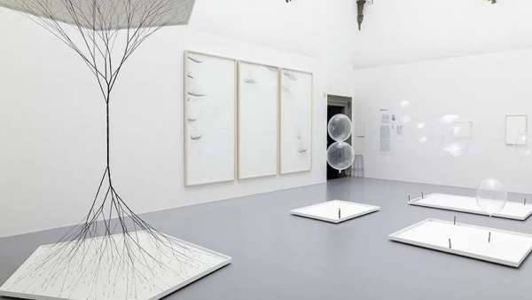 這樣的大型展覽活動從藝術(shù)、社會到生命科學(xué)，多學(xué)科實踐的涵蓋在內(nèi)