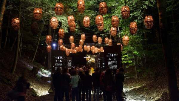 身臨其境的冒險活動派對，幻光森林的感官體驗無與倫比