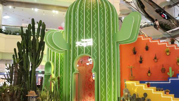 仙人掌主題會展活動帶你“漲姿勢”啦，“仙”境之旅開啟咯