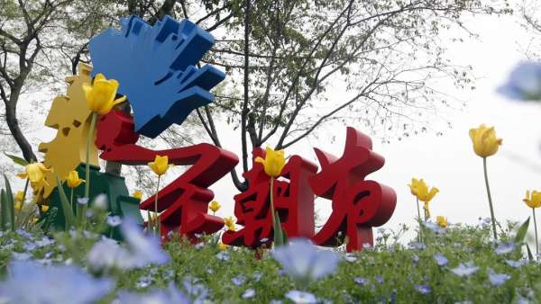 亂花漸欲迷人眼，全新西溪花朝節(jié)展覽活動(dòng)與你來一場春天的約會(huì)