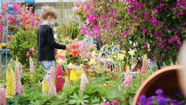 300㎡神仙級(jí)的治愈展覽活動(dòng)已備好，就等你來打卡