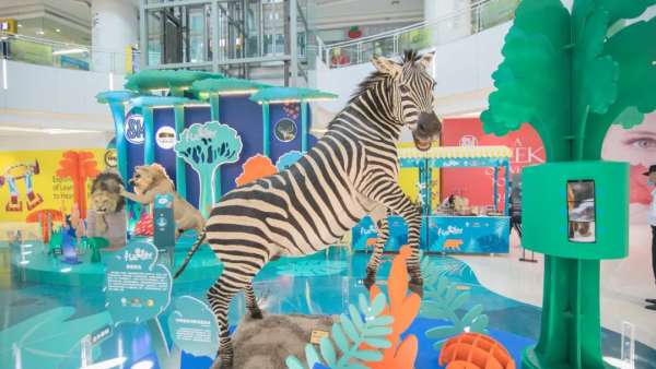 禮遇自然沉浸式展覽活動上，兩只強壯的非洲獅正在打斗，萌趣又吸睛