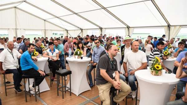 戶外品牌日活動(dòng)策劃太美了，還有熱氣球飛行等令人興奮的互動(dòng)活動(dòng)