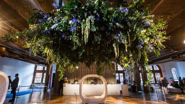 減肥機(jī)構(gòu)策劃的成功節(jié)派對活動讓來賓們受到了名人般的款待