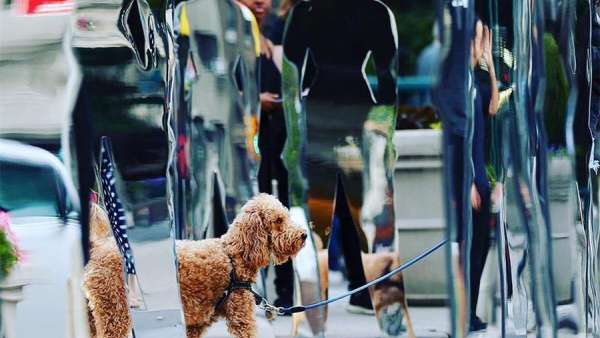 「侍女的故事」推廣活動(dòng)策劃的140座女性雕像激勵(lì)著女性自強(qiáng)奮斗