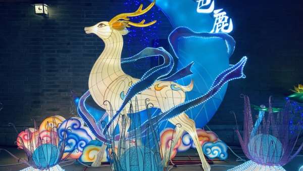 蘭州老街年味市集活動策劃正式亮燈，年味十足