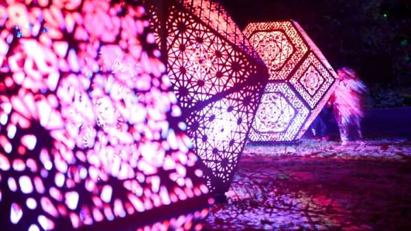 新普利茅斯燈光節(jié)活動策劃將Pukekura公園變成了光影世界，魔幻