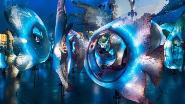 SeaGlass Carouse展覽活動策劃裝置是29條閃閃發(fā)光的魚，驚呆了