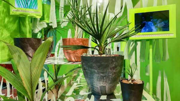 PLANTS HUMAN藝術(shù)展覽活動策劃把展廳造成了一個(gè)城市綠洲