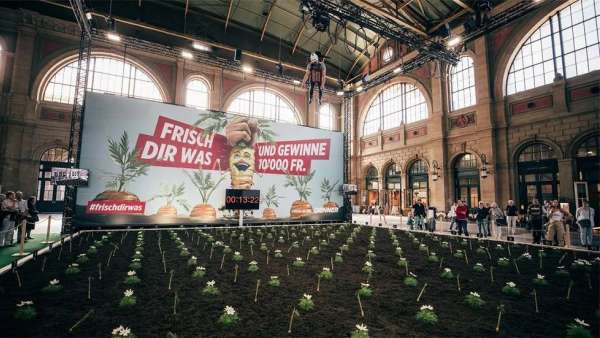 丹納超市的「抓到金胡蘿卜」推廣活動(dòng)策劃讓參與者收割了一回胡蘿卜